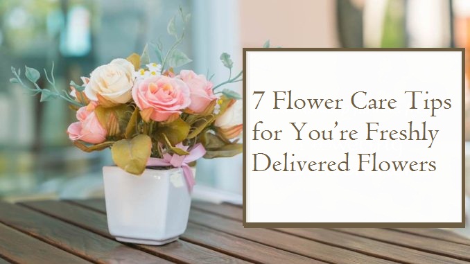 flower care tips