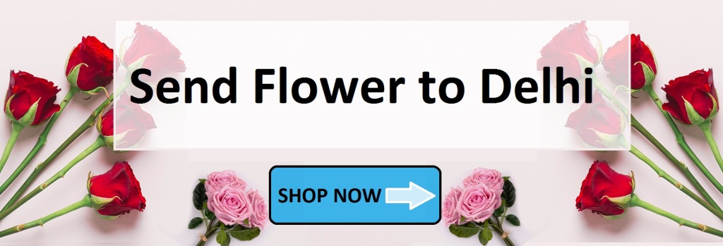send flower to delhi
